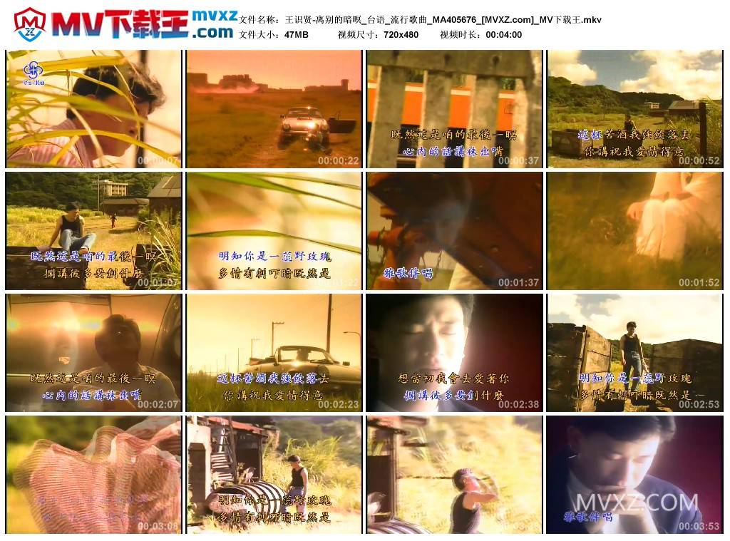 王识贤-离别的暗暝_台语_流行歌曲_MA405676